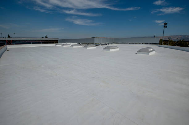 Best Rubber Roofing (EPDM, TPO)  in Milford, OH