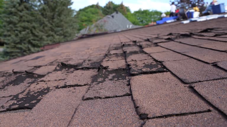 Best Wood Shake Roofing  in Milford, OH